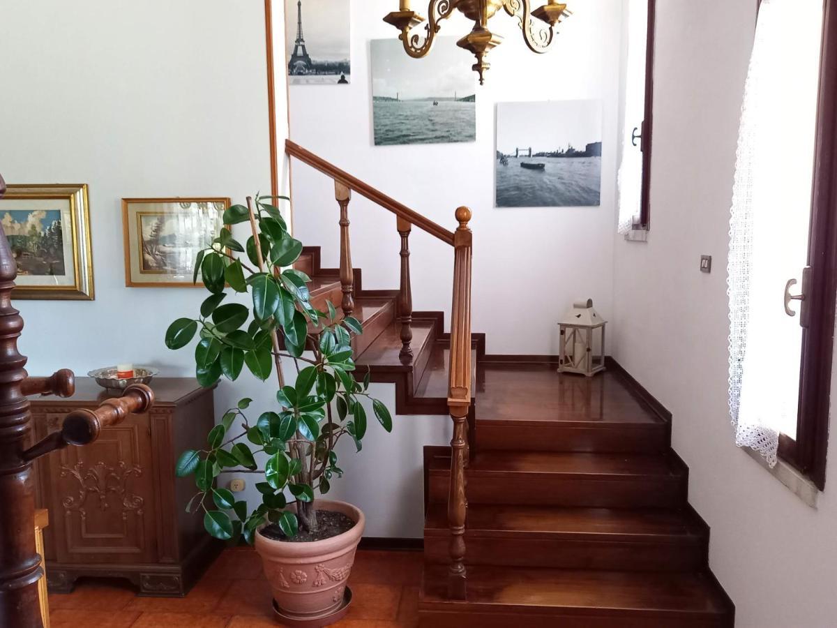 B & B Cedro Argentato レニャーゴ エクステリア 写真